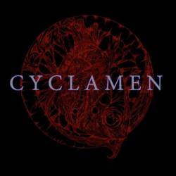 Cyclamen : Sleep Street